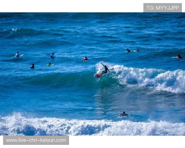 海外冲浪比赛，浪花逐梦的青春节拍，国外冲浪