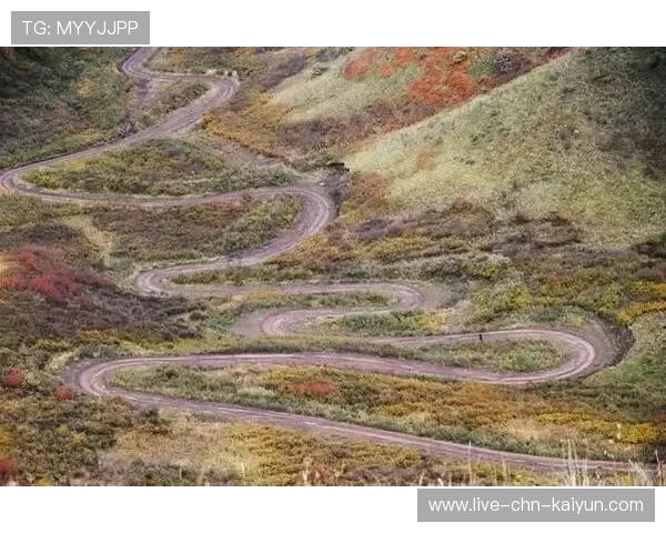 “SHO-CHAN Run 2025：跑者狂热，香港再掀赛事高潮”